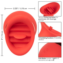 Load image into Gallery viewer, French Kiss Charmer