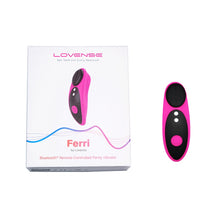 Load image into Gallery viewer, Ferri Panty Vibrator