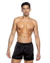 Load image into Gallery viewer, LI818 - Champion Boxer
