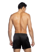 Load image into Gallery viewer, LI818 - Champion Boxer
