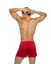 Load image into Gallery viewer, LI818 - Champion Boxer
