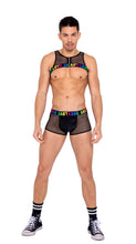Load image into Gallery viewer, 6161 - Mens Pride Two-Tone Fishnet Trunks
