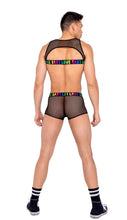 Load image into Gallery viewer, 6161 - Mens Pride Two-Tone Fishnet Trunks
