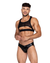 Load image into Gallery viewer, LI670 - Voyeur Harness
