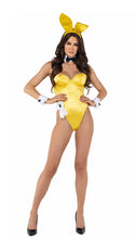 Load image into Gallery viewer, PB127 - 8pc Playboy Bunny
