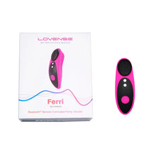 Load image into Gallery viewer, Ferri Panty Vibrator
